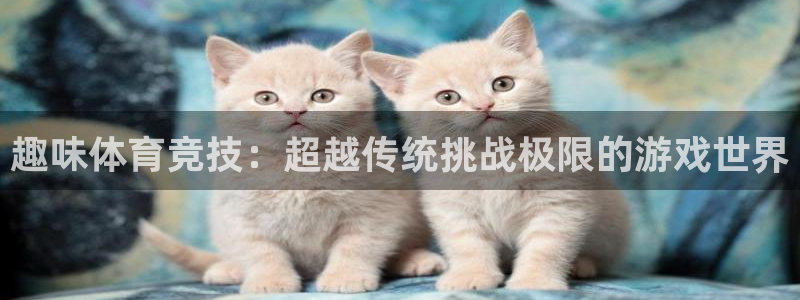 xc体育
