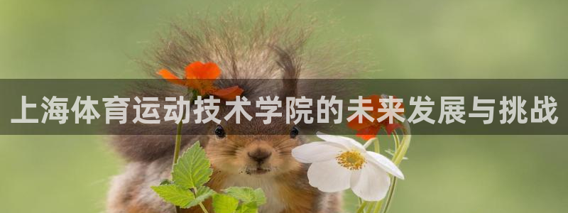 xc体育