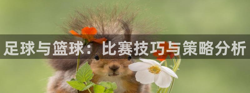xc体育app官方网站