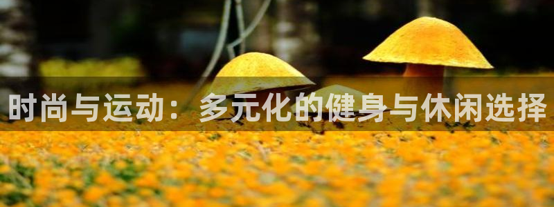 xc体育