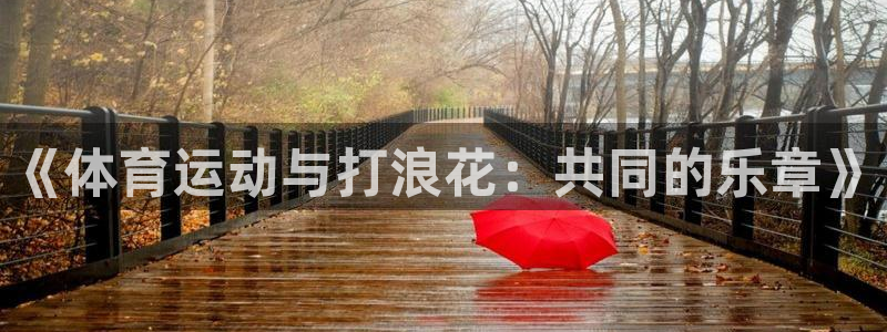 xc体育app官方网站