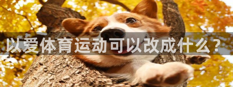 xc体育