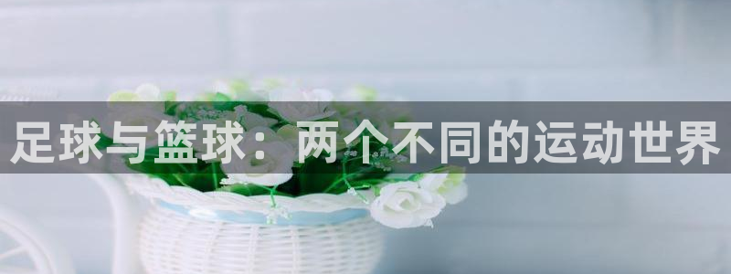 xc体育