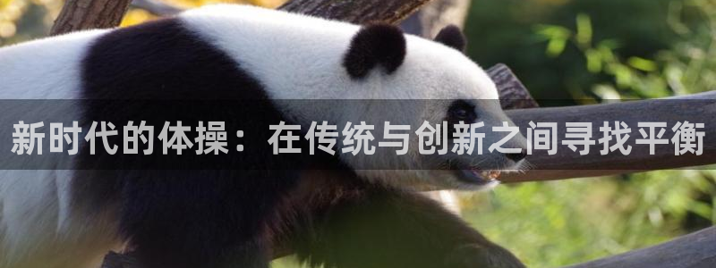 xc体育app官方网站