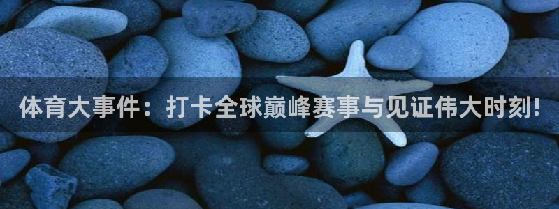 xc体育