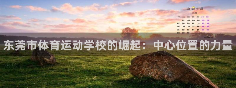 xc体育