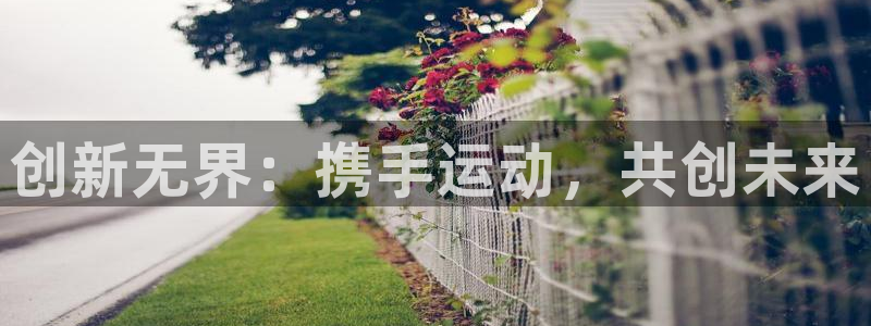 xc体育