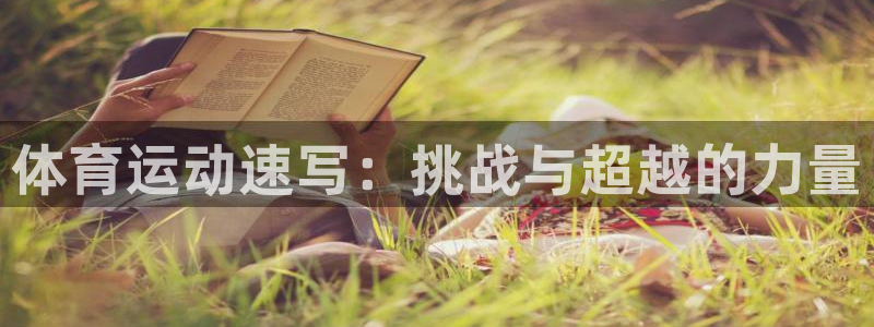 xc体育app官方网站
