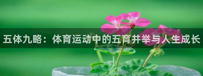 xc体育