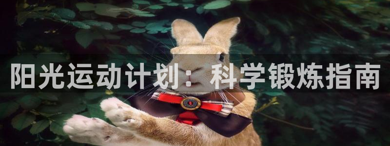 xc体育
